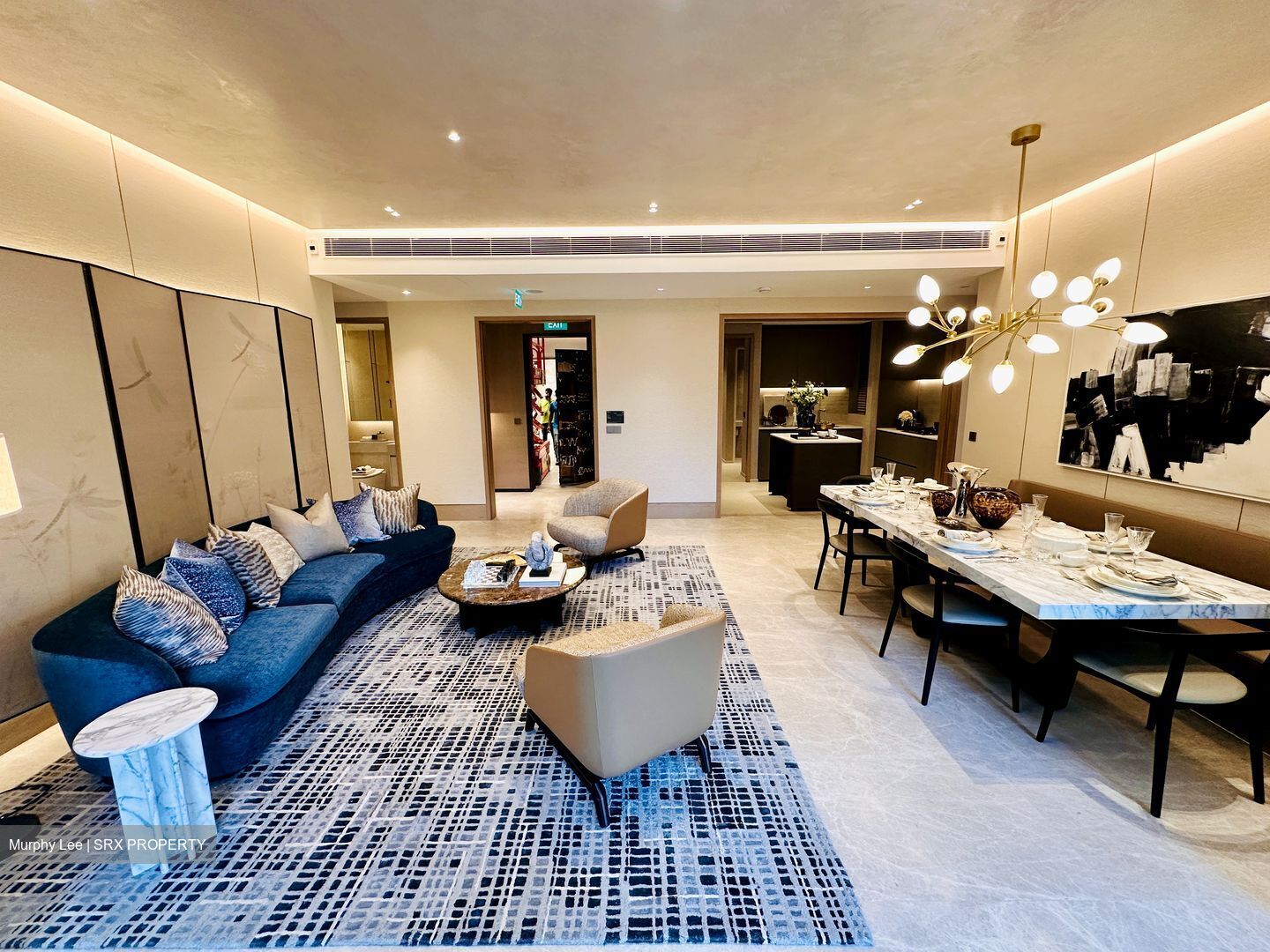Beach Road (D7), Apartment #447237231